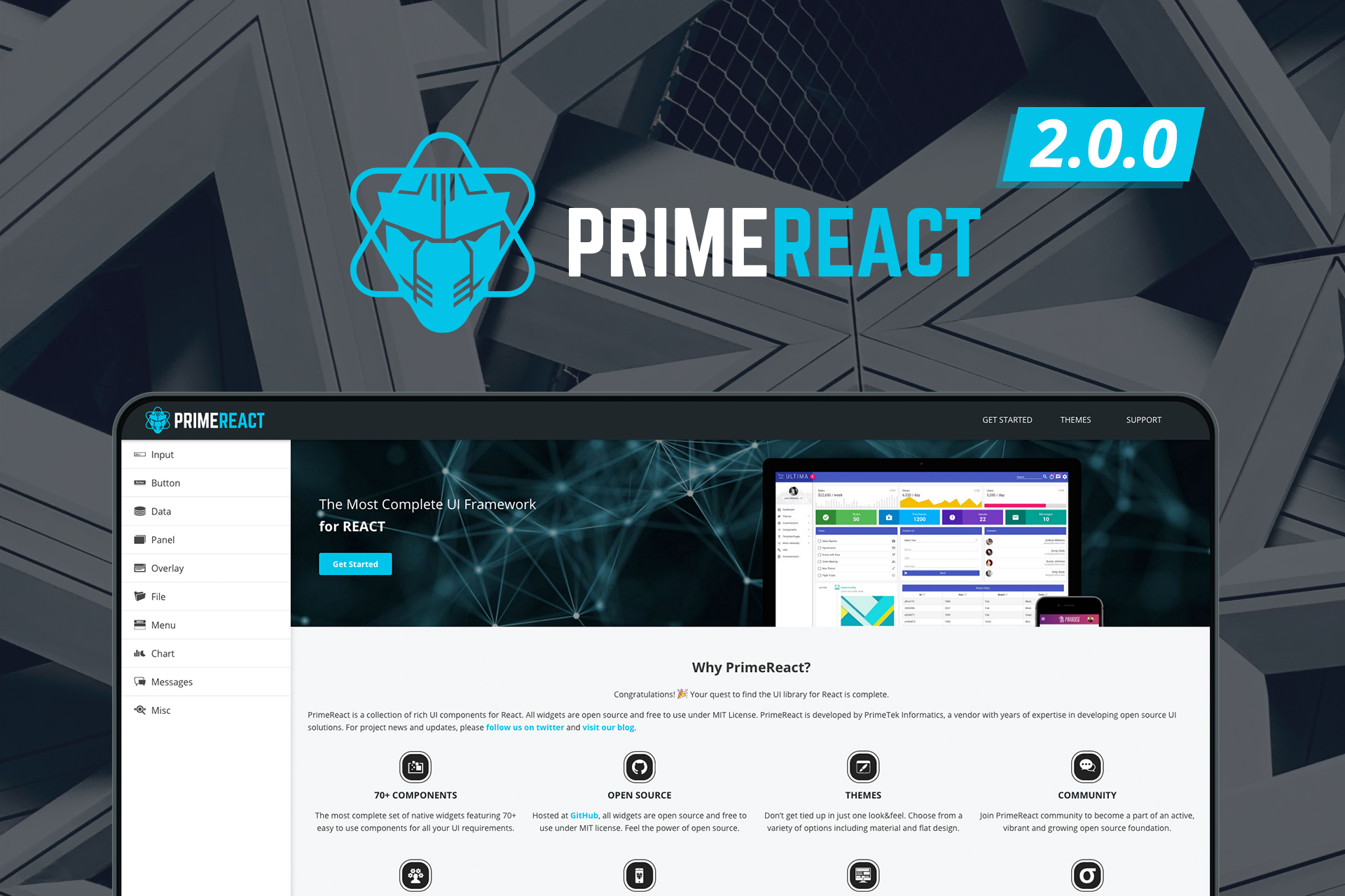 Сайты на реакте. PRIMEREACT text. PRIMEUI примеры. Дизайн заглушек на сайт React. Primefaces click Action on Panel.